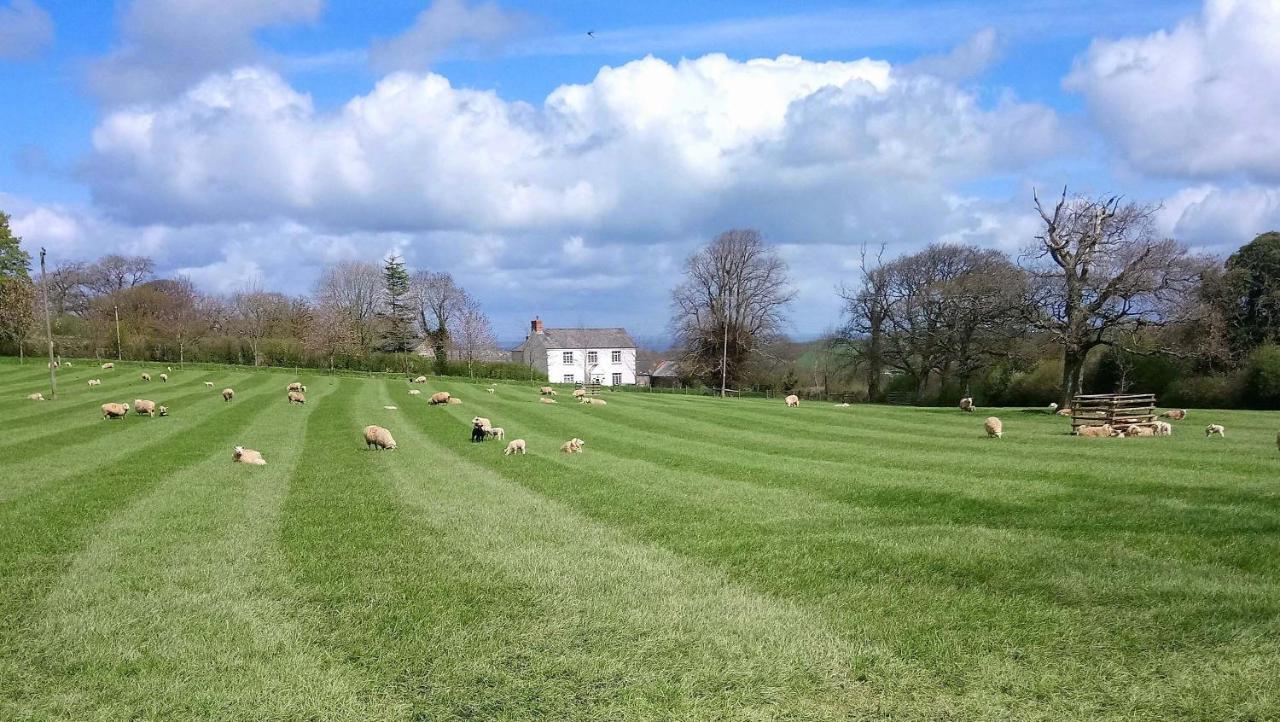 Lovaton Farmhouse Okehampton Εξωτερικό φωτογραφία