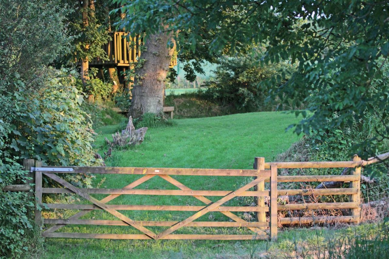 Lovaton Farmhouse Okehampton Εξωτερικό φωτογραφία