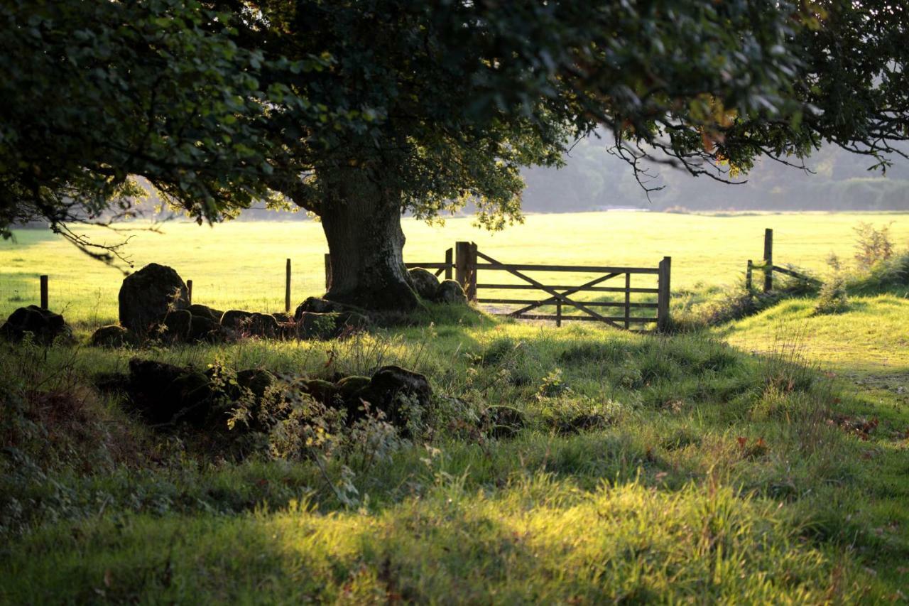 Lovaton Farmhouse Okehampton Εξωτερικό φωτογραφία