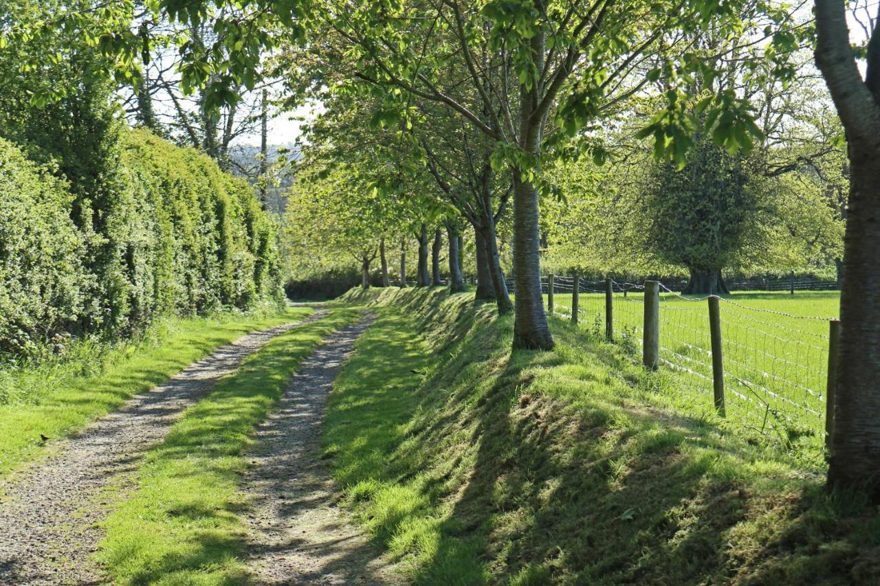 Lovaton Farmhouse Okehampton Εξωτερικό φωτογραφία